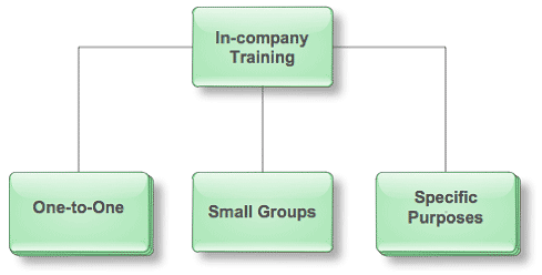 in-company-training